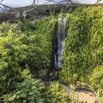 Waterfall in the Eden Project Rainforest Biome